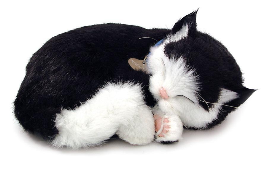 Realistico peluche di gatto bianco: giocattolo da compagnia per animali domestici - Italia Realistico peluche di gatto bianco: giocattolo da compagnia per animali domestici - Italia