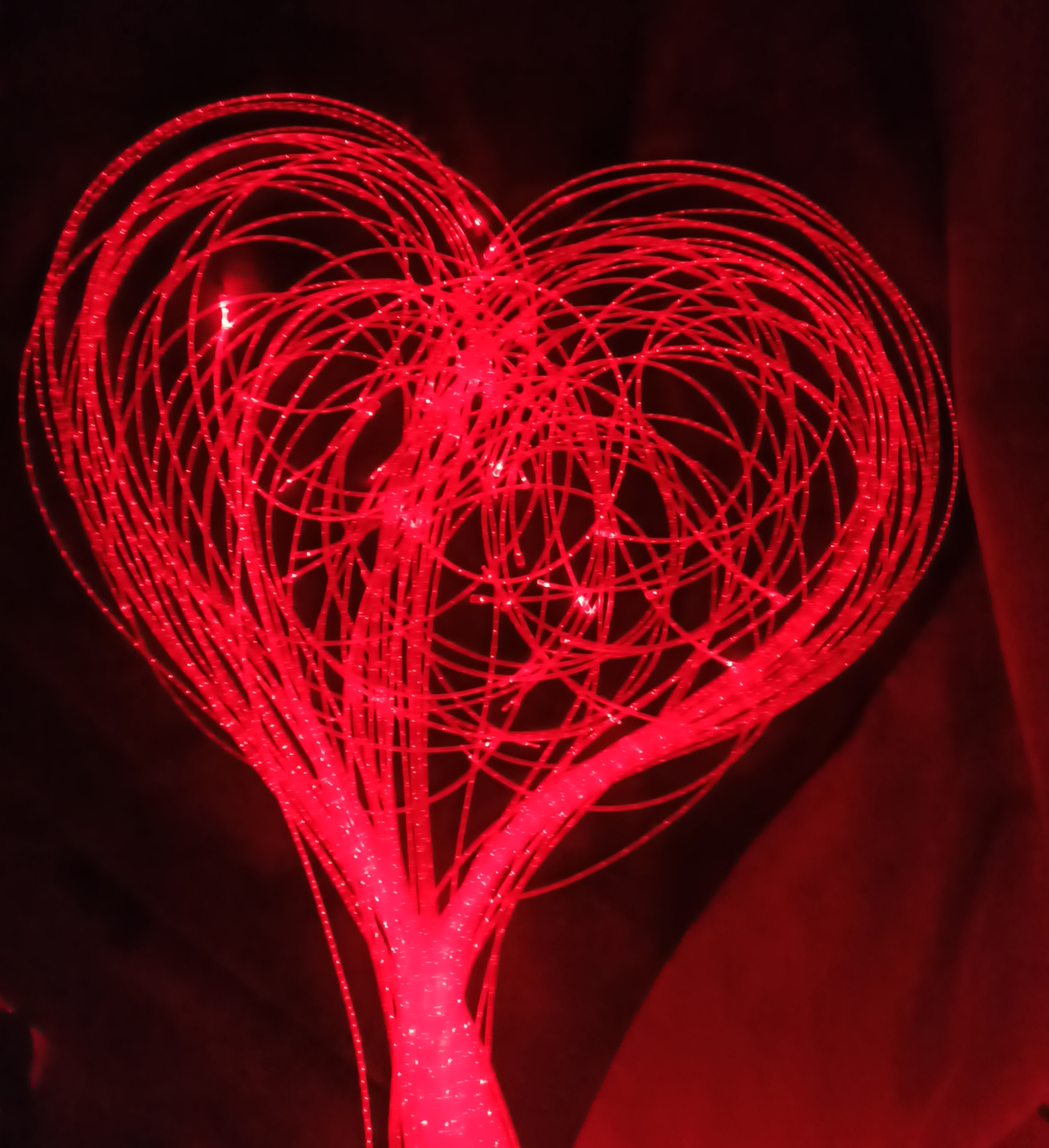 Speciale San Valentino