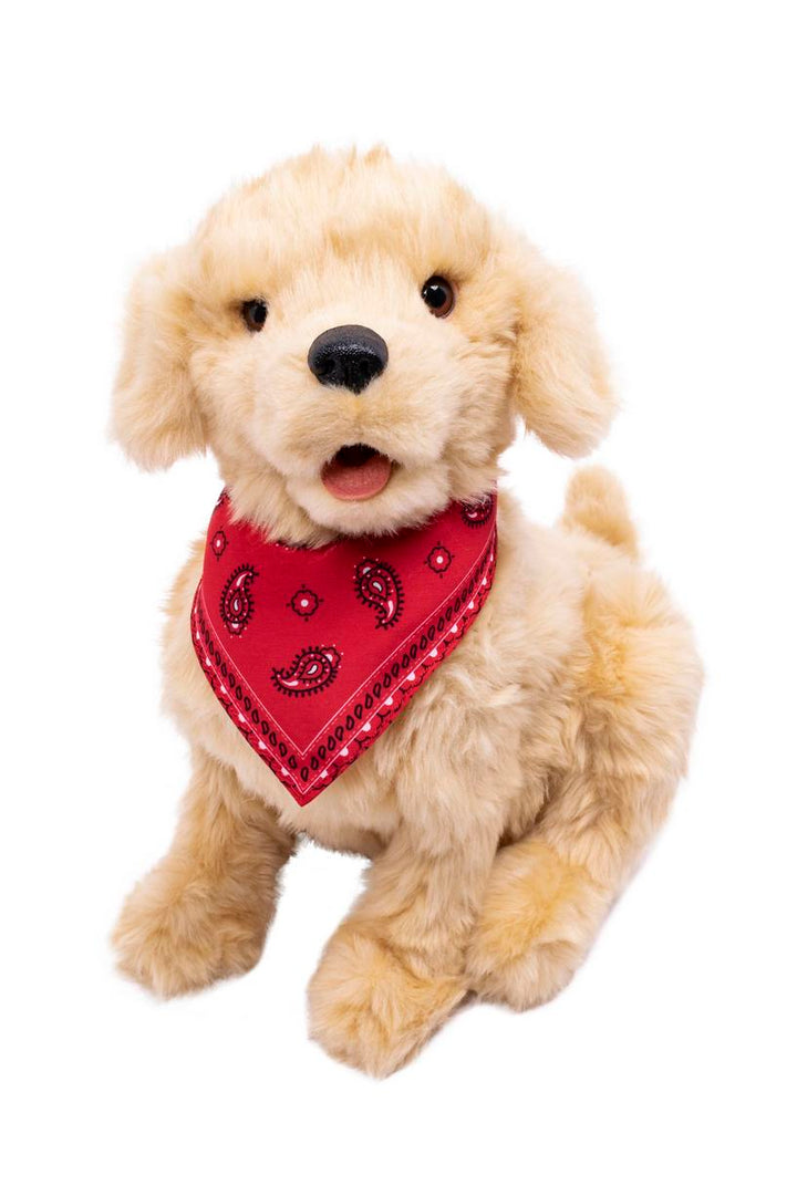 Animali Interattivi - robotici