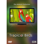 DVD Uccelli tropicali