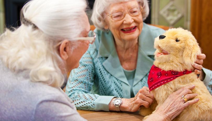 animale robotico emozionale  per il benessere emotivo dell'anziano con alzheimer - cane