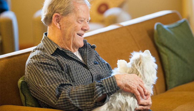 benessere emotivo dell'anziano con demenza attraverso un animale robotico emozionale