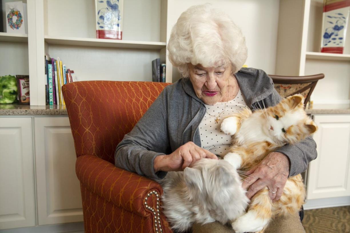 animale emozionale per anziana Rsa 