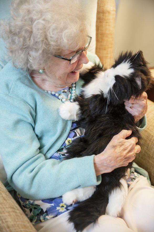 animale da compagnia robotico per l'anziano con demenza