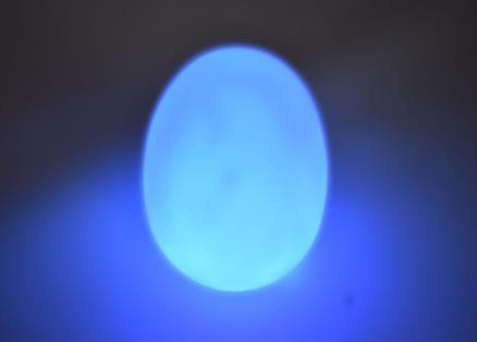 lampade a uovo piccole a led per stimolazione Snoezelen - set di 4